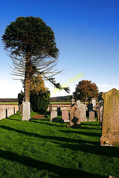Photo 6"x4" Dipple Burial Ground Trochelhill c2009
