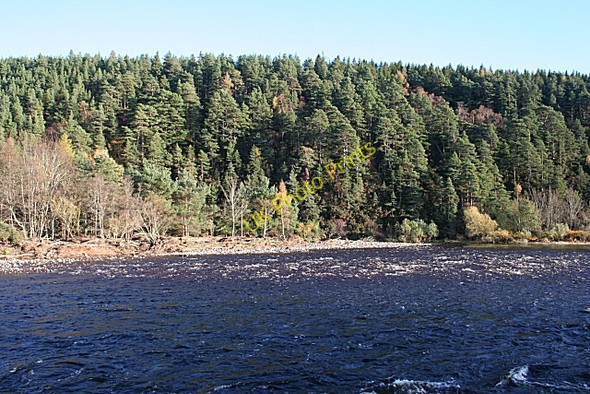 Photo 6"x4" River Spey near Dipple Fochabers c2009
