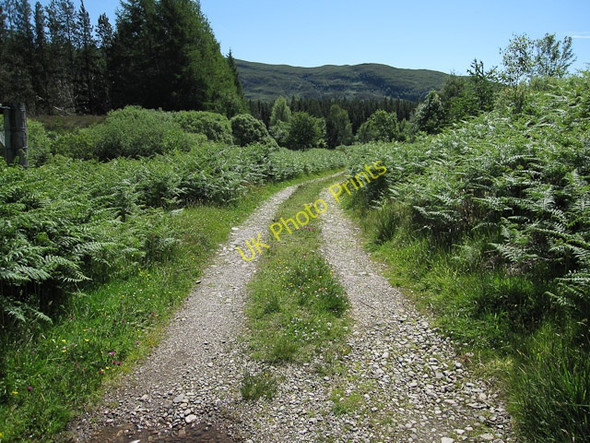 Photo 6"x4" Track to River Carron Strath Carran c2009