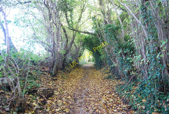 Photo 6"x4" Road used as a public right of way West Peckham c2009