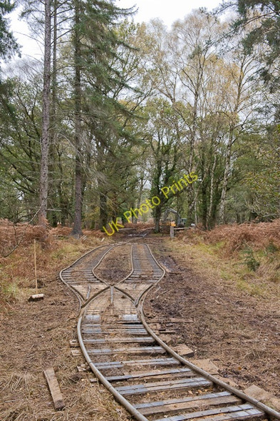 Photo 6"x4" Warwickslade Cutting: repositioned railway Bank\/SU2807 c2009