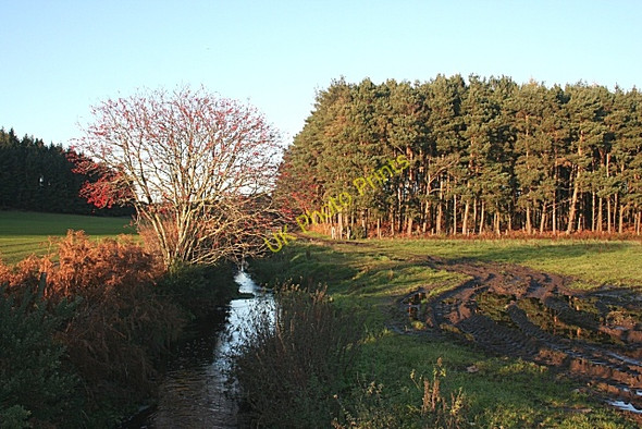 Photo 6"x4" The Black Burn Muir of Lochs c2009
