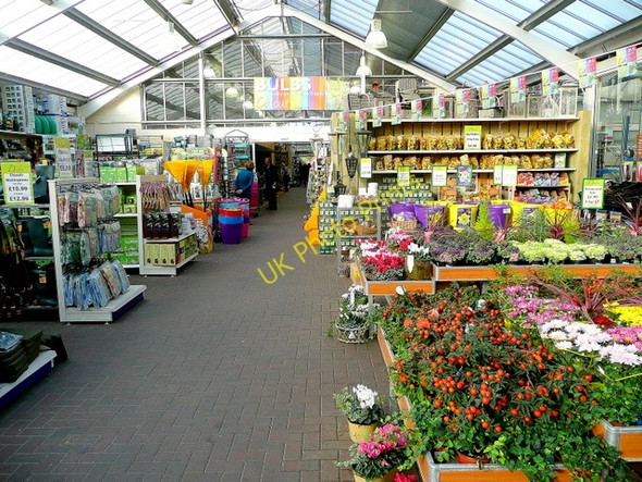 Photo 6"x4" Derby Garden Centre 2 Little Eaton c2009