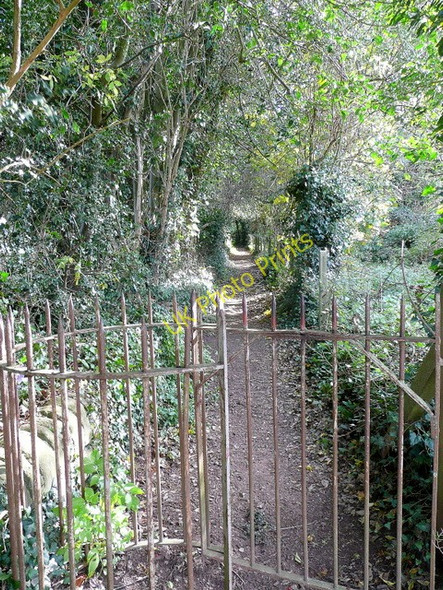 Photo 6"x4" Footpath into Alton Court Wood Ross-on-Wye c2009