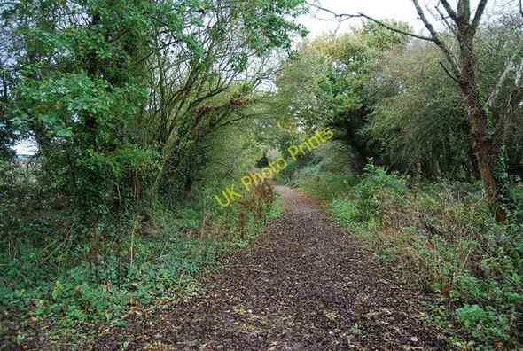 Photo 6"x4" Dismantled Bexhill to Crowhurst railway line Bexhill c2009