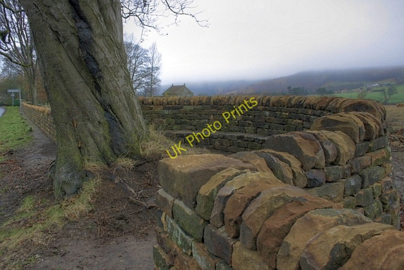 Photo 6"x4" New Stone Walling at Kildale Kildale c2009