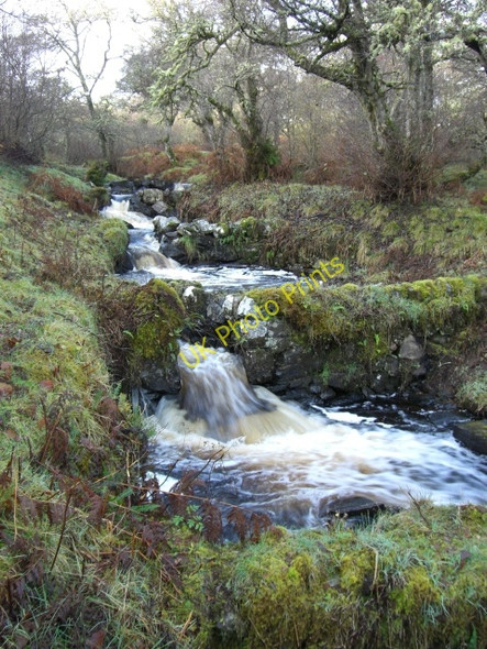 Photo 6"x4" Fish ladder, Strath Carnaig Little Torboll c2009 P1