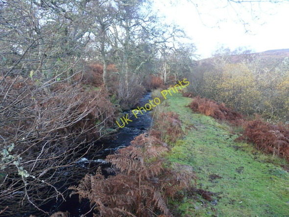 Photo 6"x4" Fish ladder, Strath Carnaig Little Torboll c2009 P2