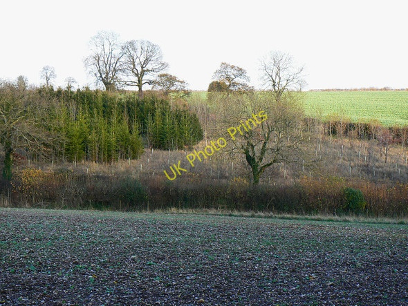Photo 6"x4" Farmland and hedge, east of Collingbourne Kingston Collingbourne Kingston c2009