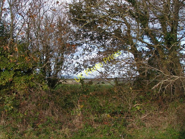 Photo 6"x4" A difficult view Hawkerland c2009