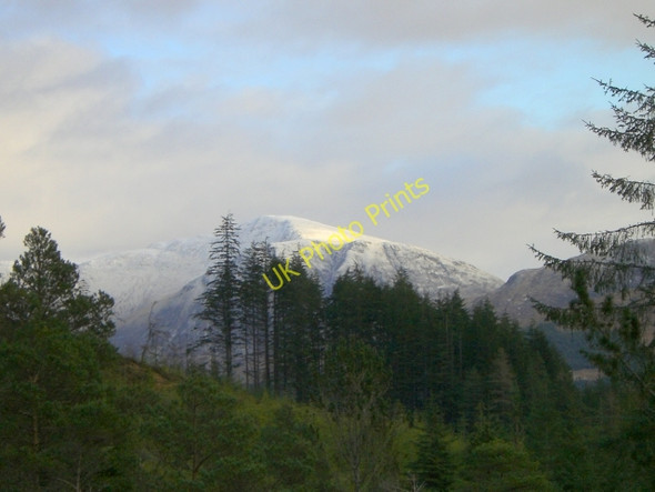 Photo 6"x4" Achnashellach Forest Lair\/NH0148 c2009