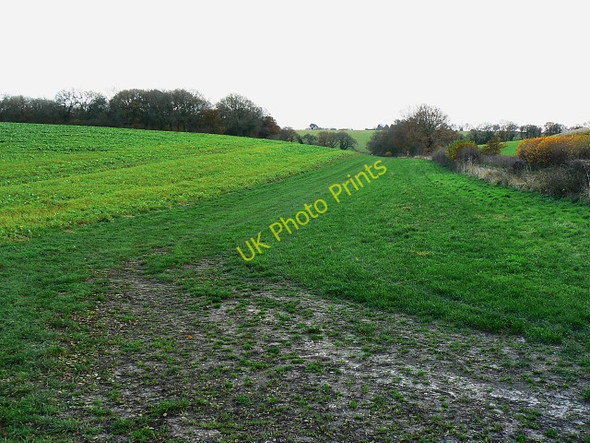 Photo 6"x4" Field margin near Brokenway Copse, east of Collingbourne Kingston Collingbourne Kingston c2009
