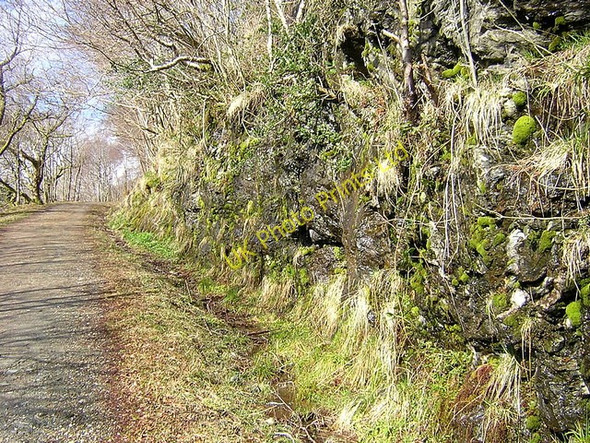 Photo 6"x4" Rock Cutting on West Highland Way Rowardennan c2006