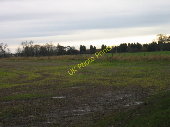 Photo 6"x4" Muddy footpath through a muddy field leading to Longhoughton Littlehoughton c2009