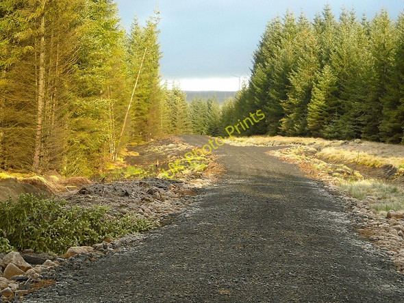 Photo 6"x4" New Track in Whitelee Forest Calder Burn\/NS5941 c2009