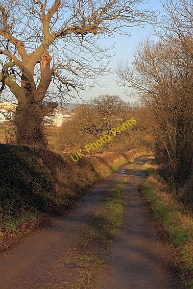Photo 6"x4" Haggs Lane Bishop Auckland c2009