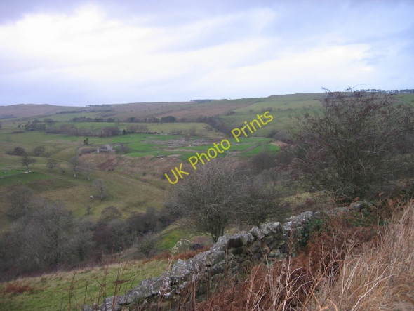 Photo 6"x4" View towards Vindolanda Birkshaw\/NY7765 c2009