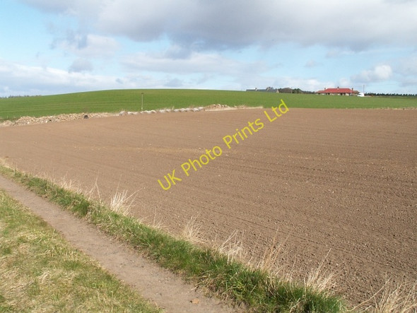 Photo 6"x4" By Carriston Star\/NO3103 c2006