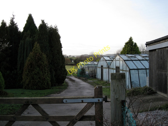 Photo 6"x4" Nursery by A379 north of Port Road Cofton c2009