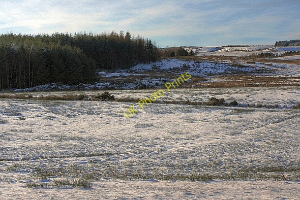 Photo 6"x4" Rough Grazing and Edge of Plantation, Kirby Hill Kirby Hill\/NZ1306 c2009