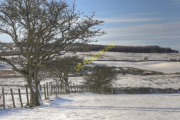 Photo 6"x4" Field Boundary, Kirby Hill Kirby Hill\/NZ1306 c2009