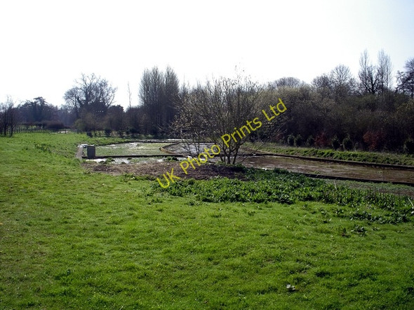 Photo 6"x4" Watercress beds on Hunton Lane Hunton\/SU4839 c2006