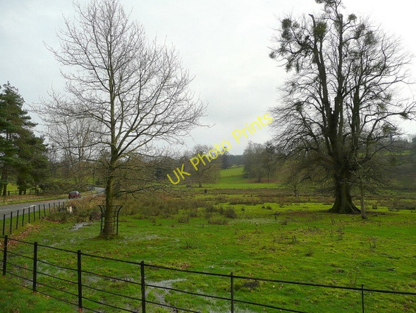 Photo 6"x4" Clytha Park Aberffrwd\/SO3509 c2009