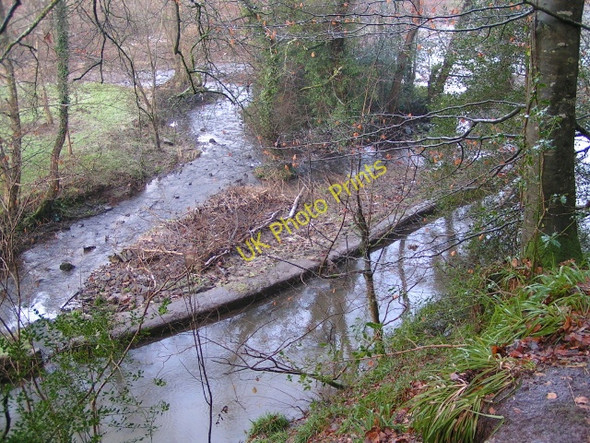 Photo 6"x4" River Exe and Bickleigh Mill leat Bickleigh\/SS9407 c2009