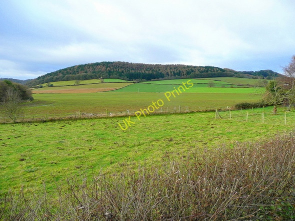 Photo 6"x4" View to the eastern end of the Penyard 2 Pontshill c2009