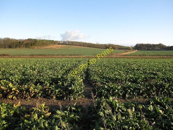 Photo 6"x4" Footpath to Weston Colville Weston Colville c2009 P1