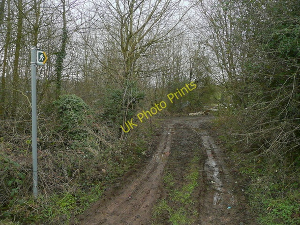 Photo 6"x4" Muddy path west to Pope's Hill Elton\/SO6913 c2009