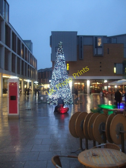 Photo 6"x4" Christmas Tree 2009, Bedford Street, Exeter Exeter c2009