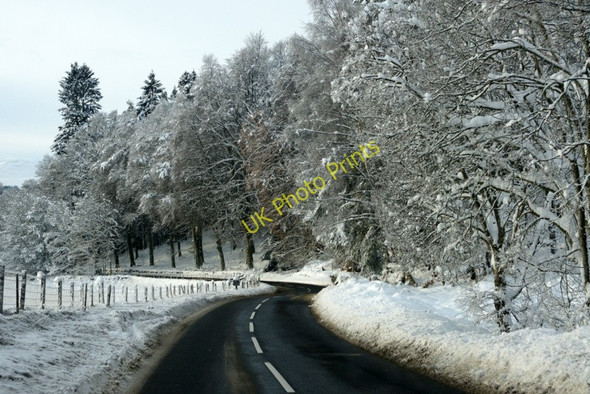 Photo 6"x4" Snowy woodland east of Dunkeld Dunkeld c2009