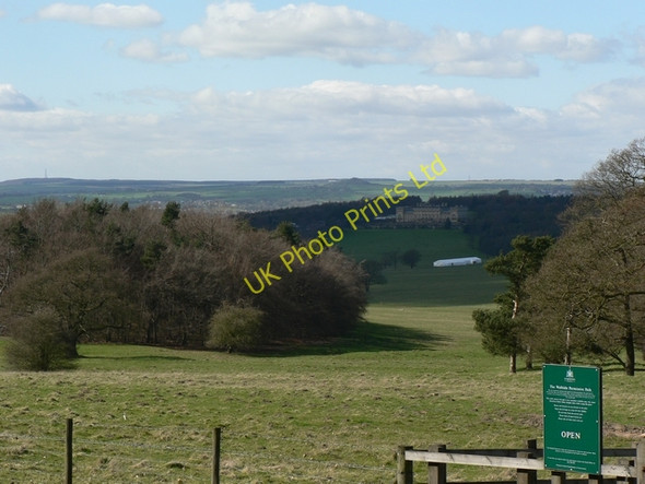 Photo 6"x4" Lodge Hills Plantation and Harewood House Wike c2006