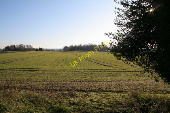 Photo 6"x4" Field, Duck End, Maulden Ampthill c2010