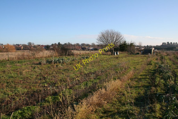 Photo 6"x4" Allotments, Maulden Ampthill c2010