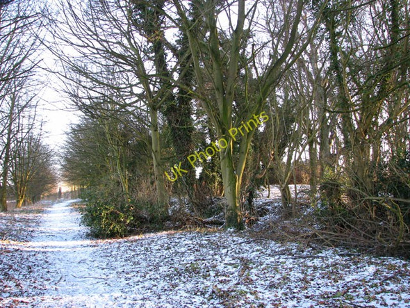 Photo 6"x4" Path skirting the woodland west of Hales Hall Hales Green\/TM3796 c2010