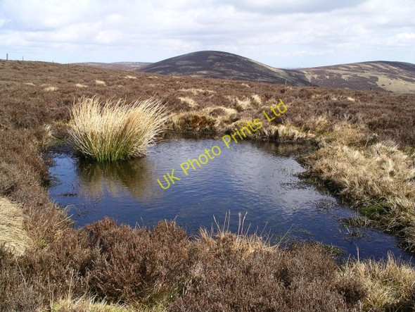 Photo 6"x4" Bog pool, Scawd Law Walkerburn c2006