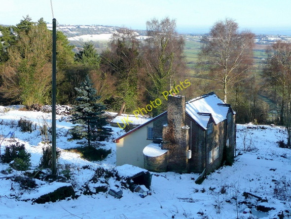 Photo 6"x4" Cottage on Garway Hill Garway Hill c2010