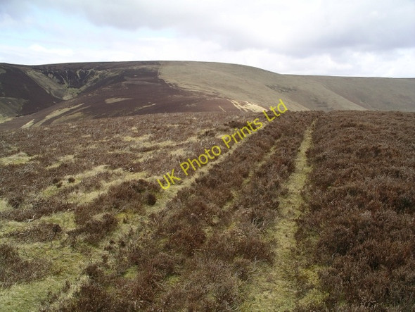 Photo 6"x4" Summit track, Scawd law Walkerburn c2006