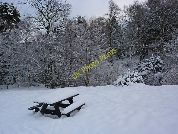 Photo 6"x4" Bonaly Country Park in winter Bonaly c2010