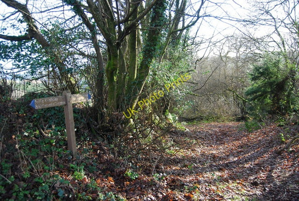 Photo 6"x4" Bridleway heading south from Stouts Way Lane Kingsbridge\/SS9837 c2009