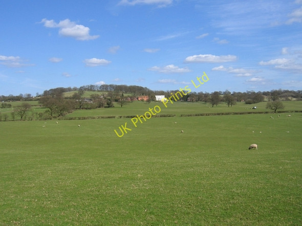 Photo 6"x4" View towards Lilley Green Hall and farm Rowney Green c2006