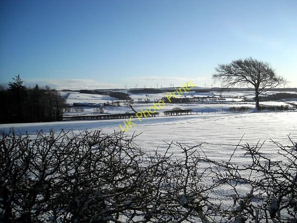 Photo 6"x4" Snow Covered Fields Eaglesham c2010