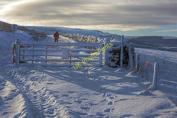 Photo 6"x4" Cattle Grid on the Baysdale Road Kildale c2010
