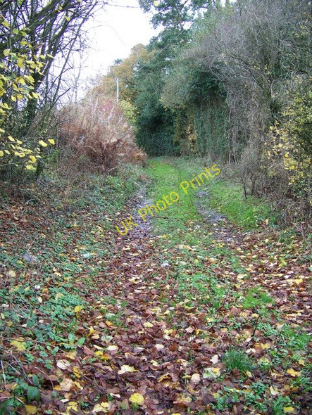 Photo 6"x4" Footpath, Lambourn Woodlands Lambourn Woodlands c2009