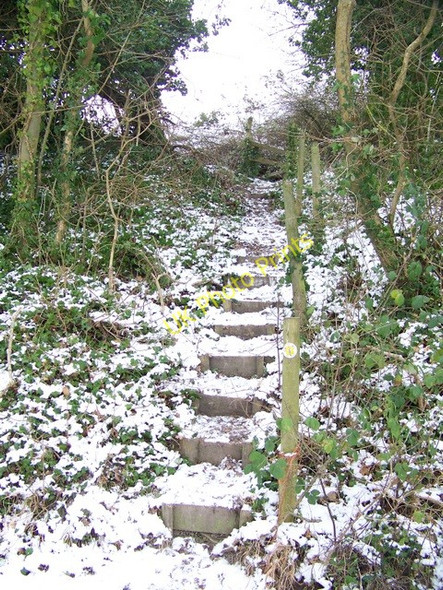 Photo 6"x4" Steps to Knighton Hill Stoke Farthing c2010