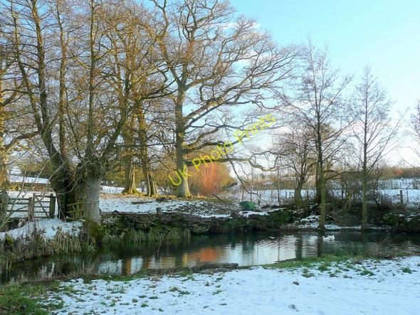 Photo 6"x4" Pond on the edge of Little Mountain Archenfield c2010