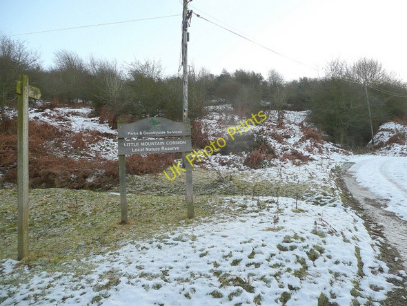 Photo 6"x4" Little Mountain Common Westbrook\/SO2843 c2010