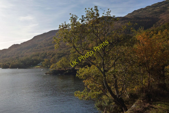 Photo 6"x4" Shore of Loch Lomond south of Rubha Dubh Rowardennan c2009